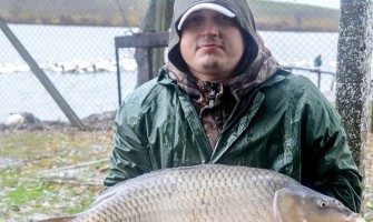 Cod Galben pe Greaca Cercani